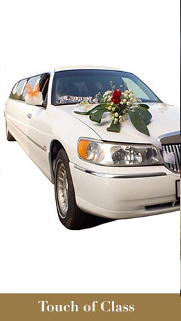 Touch of Class Limousine